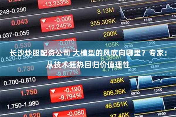 长沙炒股配资公司 大模型的风吹向哪里？专家：从技术狂热回归价值理性