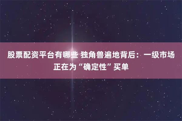 股票配资平台有哪些 独角兽遍地背后：一级市场正在为“确定性”买单
